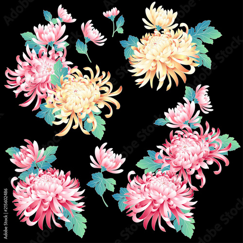 日本的な菊の素材