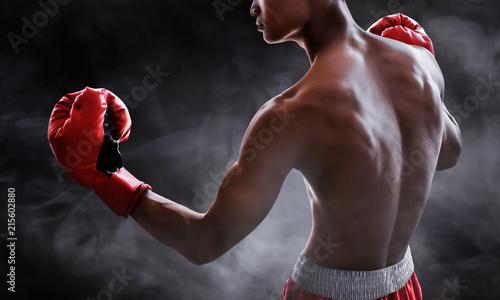 Strong muscular boxer © fotokitas