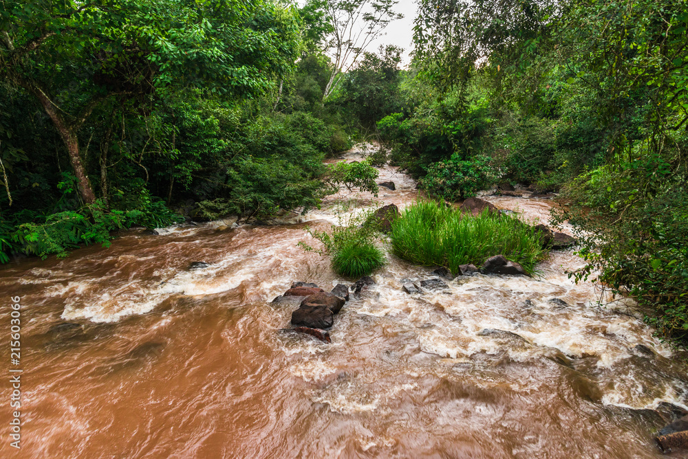 Wide angle landscape view of a tropical river in rainforest jungle with rocks, and trees