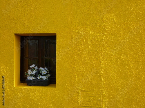 ventana,casa,amarillo,pared,exterior