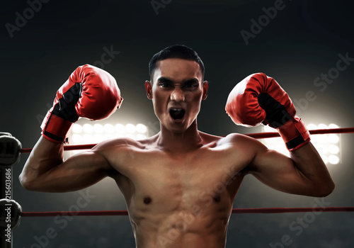 Boxer on the ring © fotokitas