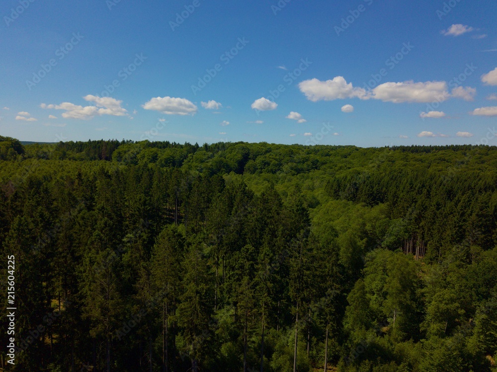 Aerial photography over the forest of Klåveröd in Sweden during summer (recreation area)