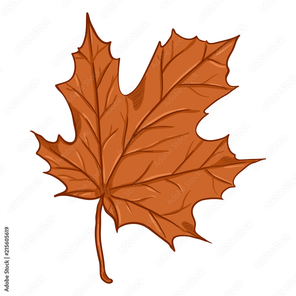 Vector Cartoon Illustration - Autumn Fallen Orange Leaf of Maple Vector Cartoon Illustration - Autumn Fallen Orange Leaf of Maple