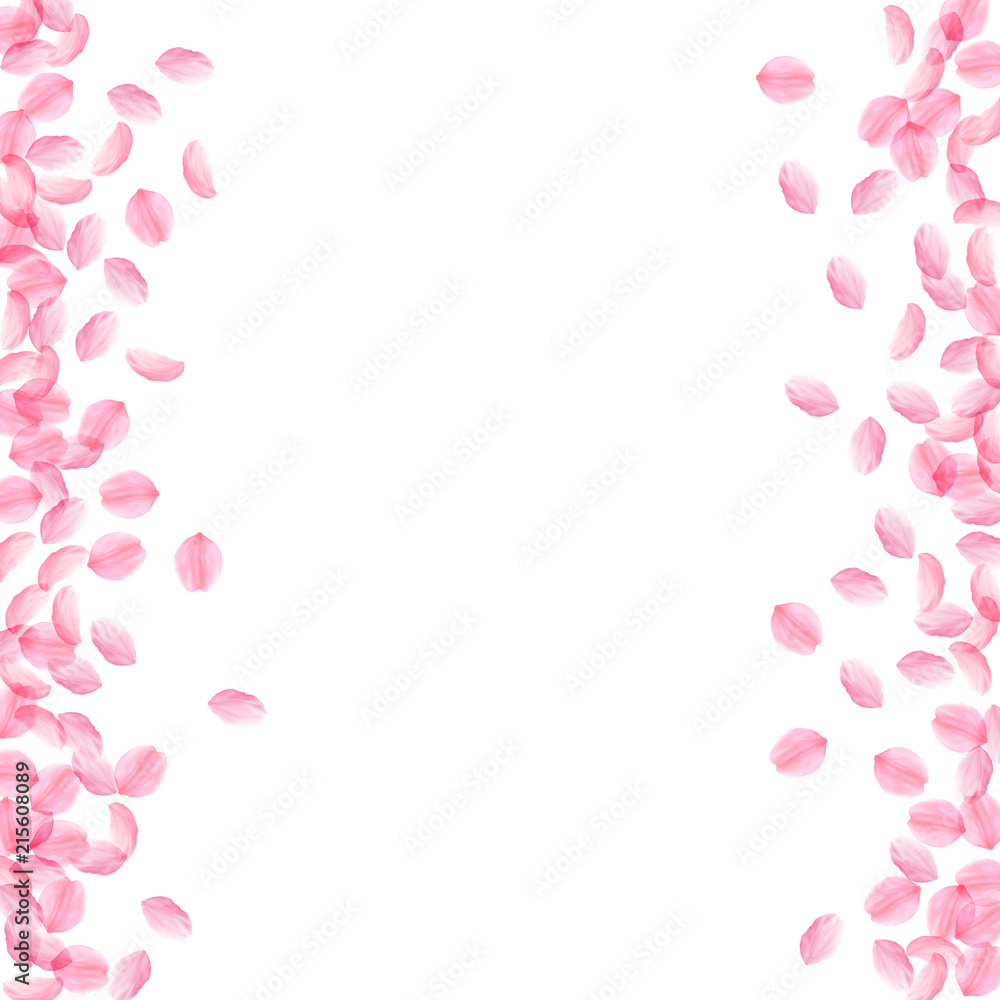 Sakura petals falling down. Romantic pink silky medium flowers. Thick flying cherry petals. Messy bo