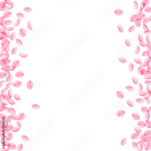 Fototapeta Naklejka Na Ścianę i Meble -  Sakura petals falling down. Romantic pink silky medium flowers. Thick flying cherry petals. Messy bo