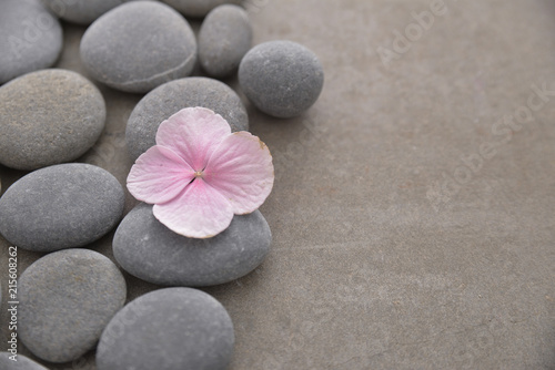 Pink hydrangea petals with pile of gray stones on gray background