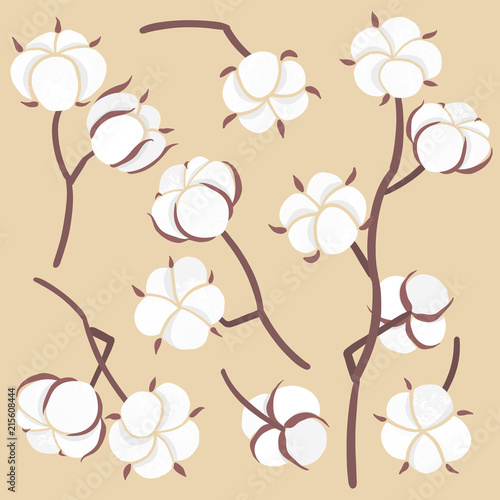 Vector cotton flower ball illustration set isolated