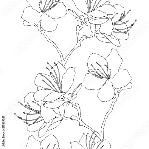 Hand sketched wreath of rhododendron Ledebour. Vector illustration of flowers. seamless pattern composition of maralnik for postcard, print, decoration, backgrond. endemic of Altai