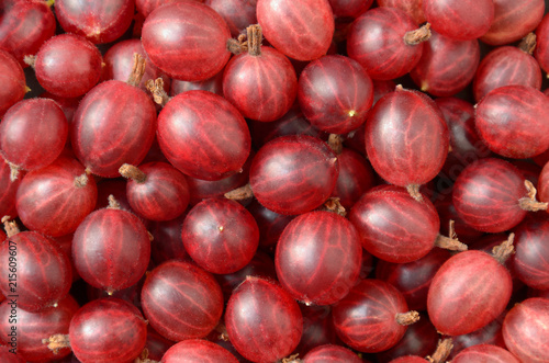 Red gooseberry texture