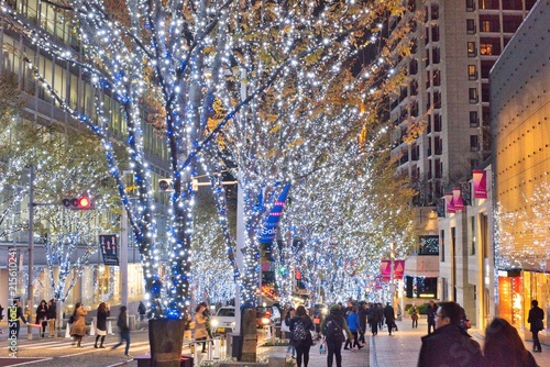 Illumination in Roppongi Japan