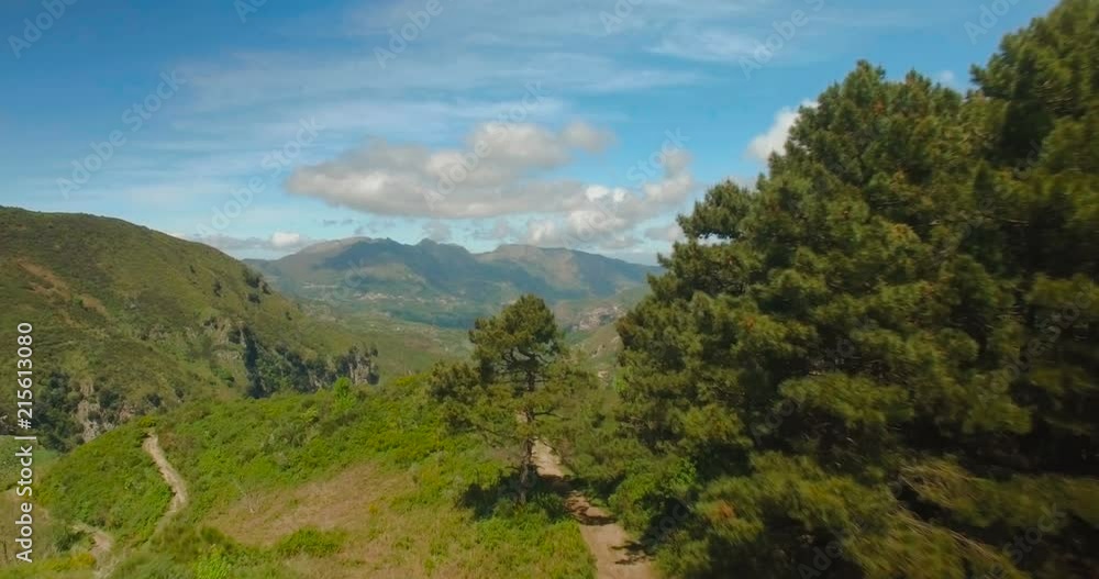 Aerial shot behind trees revealing mountains Aerial shot behind trees revealing mountains