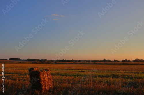 Bundle of hay and evening sky