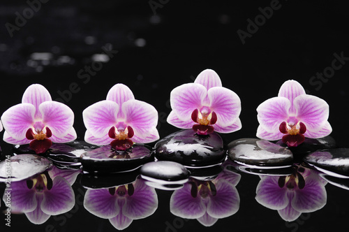 Spa still life with wet pebbles and four orchid reflection