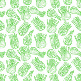 seamless ripe sketch fennel