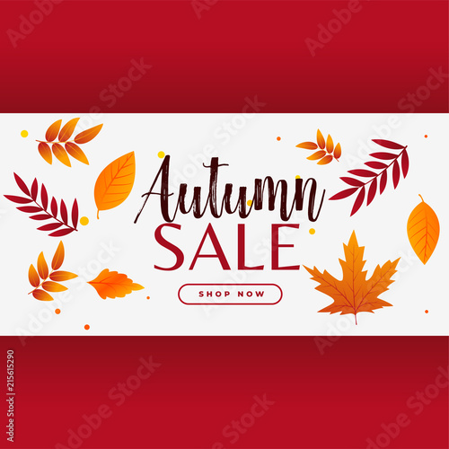 stylish autumn sale banner with leaves