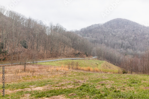 Smoky Mountains golden yellow landscape near Asheville, North Carolina at Tennessee border at winter, spring, clouds, cloudy overcast sky, green grass, highway road