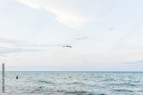 Waves crashing closeup on shore in Sunny Isles Beach, North Miami, Florida during evening sunset with colorful water, woman swimming, wet sand, pelican bird flying © Kristina Blokhin