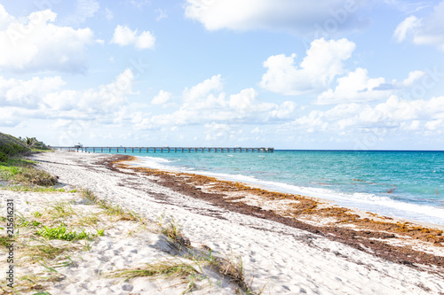 Landscape view of Juno Beach Pier jetty in Jupiter, Florida, sunny day, turquoise water, sand, nobody, seaweed, cloudy sky, atlantic ocean