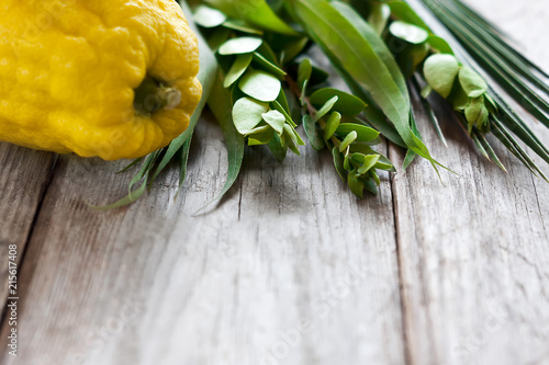 Symbols of Sukkot photo