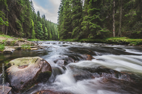 Mountain river flowing in a deep green forrest. Long exposure, water flow in motion. Creek in deep Alaska like forrest, stones and waterfall.