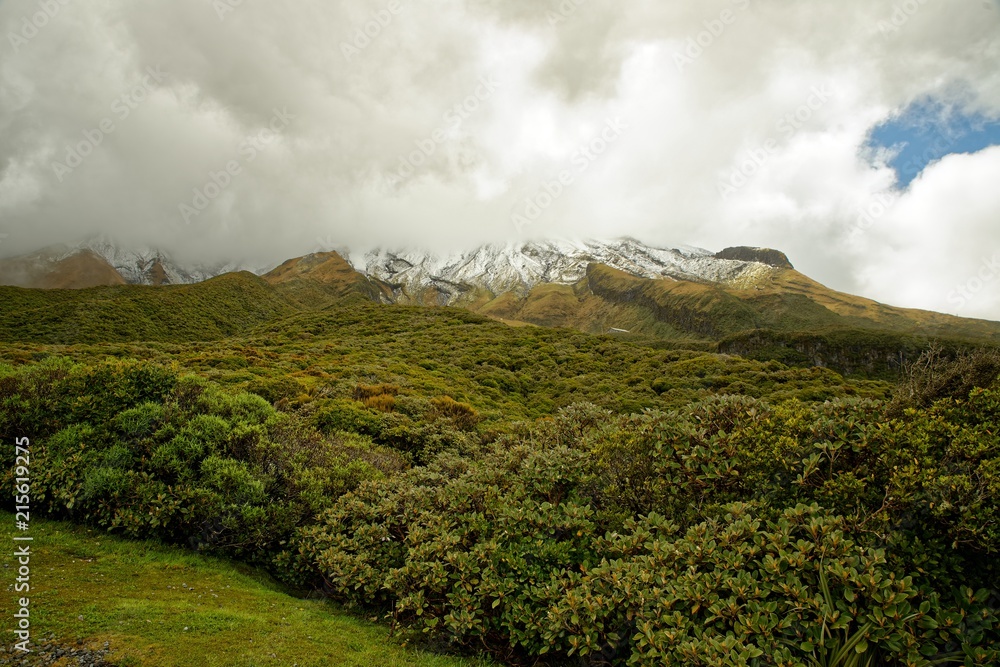 Fototapeta premium Mount Taranaki, volcano in the north island of New Zealand, mostly the peak is covered by clouds
