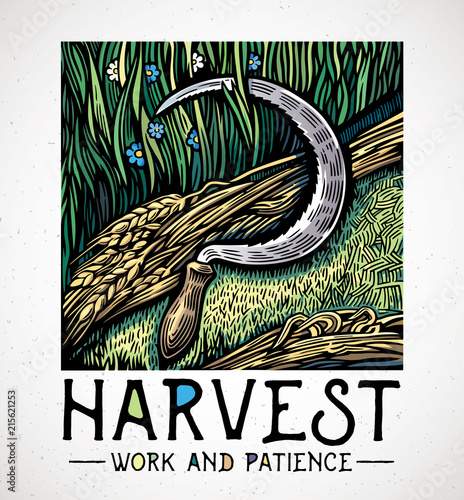 Sickle lying on a field among mowed grass