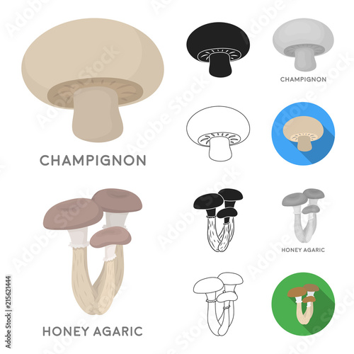 Poisonous and edible mushroom cartoon,black,flat,monochrome,outline icons in set collection for design. Different types of mushrooms vector symbol stock web illustration.