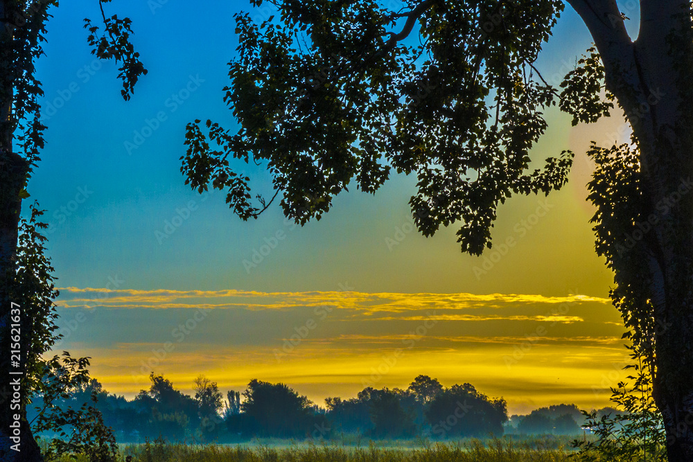 Fototapeta premium dawn wild nature of middle asia fog