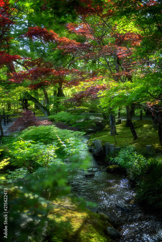 Fototapeta Naklejka Na Ścianę i Meble -  colorful Kyoto