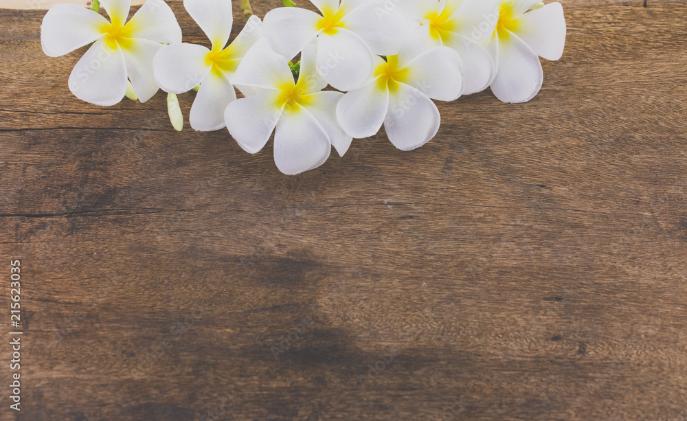 Obraz premium Frangipani, Pumeria, Frangipanni, isolated on wooden background