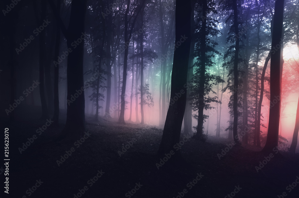 surreal forest with strange light at night