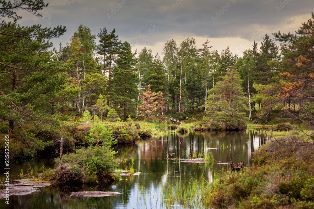 A beautiful natural landscape, a lake in the forest, clouds and sky are reflected in the water, Kemeri, Latvia