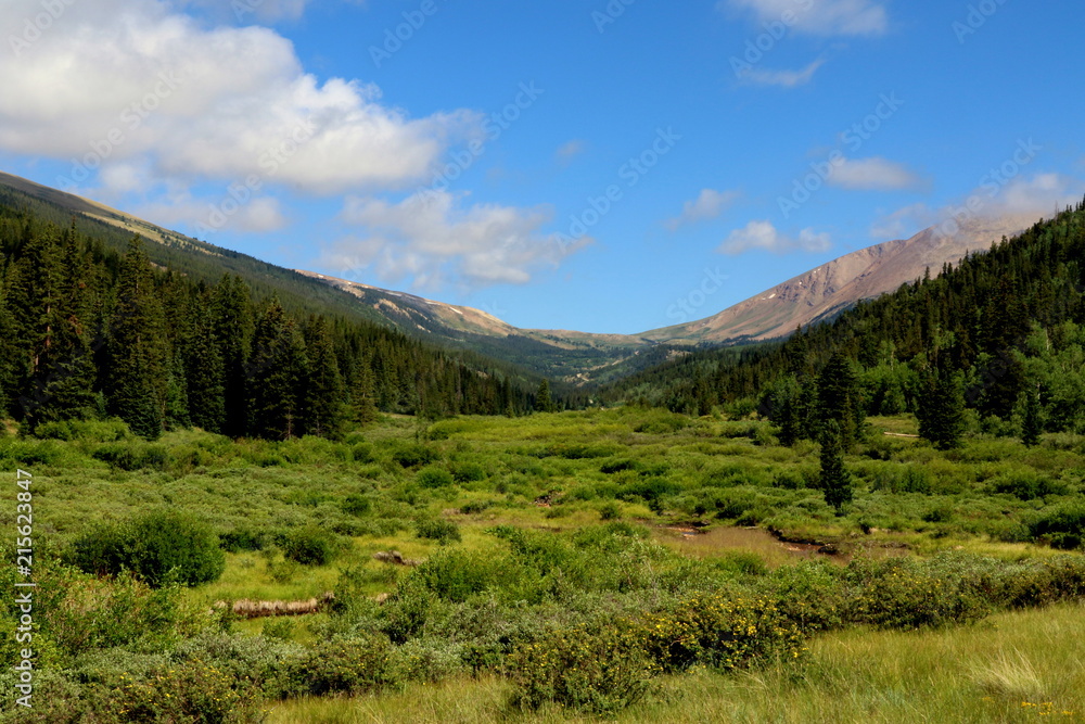 Open meadow to the mountain pass
