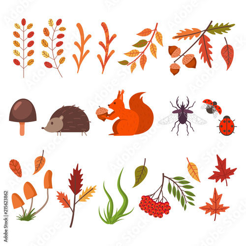 Fall decorative elements. Autumn leaves  grass  mushrooms  animals and bugs. Vector flat simple icons set isolated on white background.