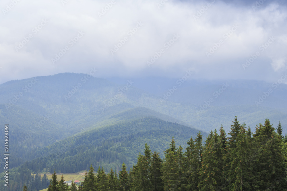 Green trees on the background of the Carpathian Mountains