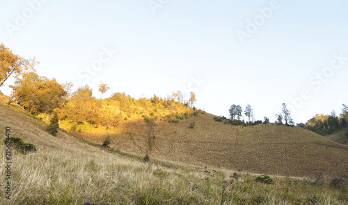 Fototapeta Naklejka Na Ścianę i Meble -  Hill with sunlight on Oro Oro Ombo in Semeru Mount