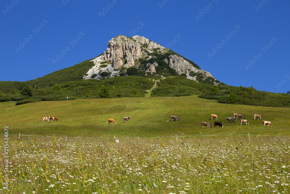 Fototapeta premium Dolomiti, Corno Bianco