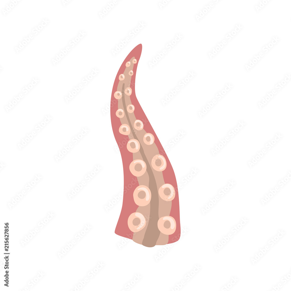 Tentacle of octopus or squid vector Illustration on a white background Tentacle of octopus or squid vector Illustration on a white background