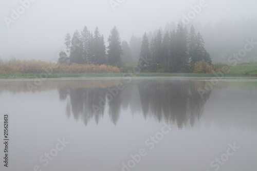 reflection of trees in the pond on a foggy autumn morning