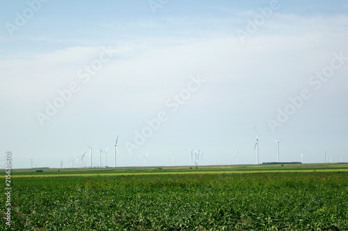 Wind turbines at field of green crops