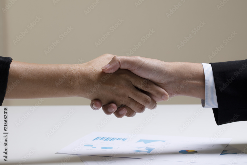 Hand shake between two business Hand shake between two business