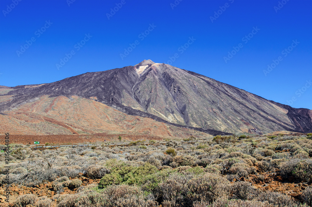 View of volcano Mount Teide (Teide Peak), surroundings with hardened lava and treeless mountain vegetation. National Park, Tenerife, Canary Islands, Spain.