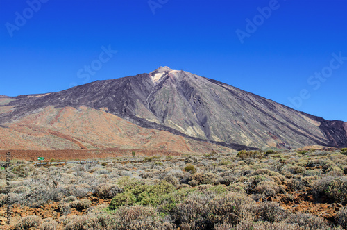 View of volcano Mount Teide  Teide Peak   surroundings with hardened lava and treeless mountain vegetation. National Park  Tenerife  Canary Islands  Spain.