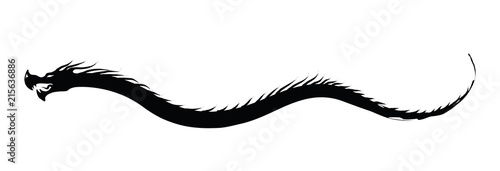 Dragon silhouette floating crawling
