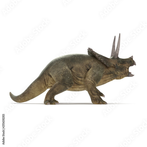 Triceratops dinosaur on white. 3D illustration © 2dmolier