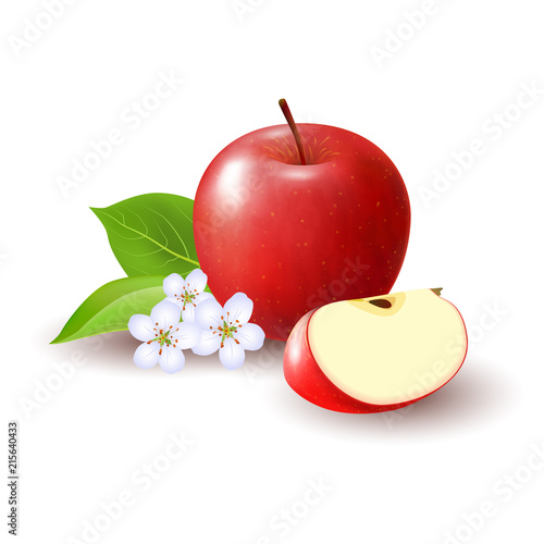 Isolated realistic colored red apple slice and whole juicy fruit with white flower, green leaves and shadow on white background.
