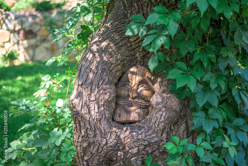 the image of a fairy-tale hero in the tree trunk. © Taranova_ksenya