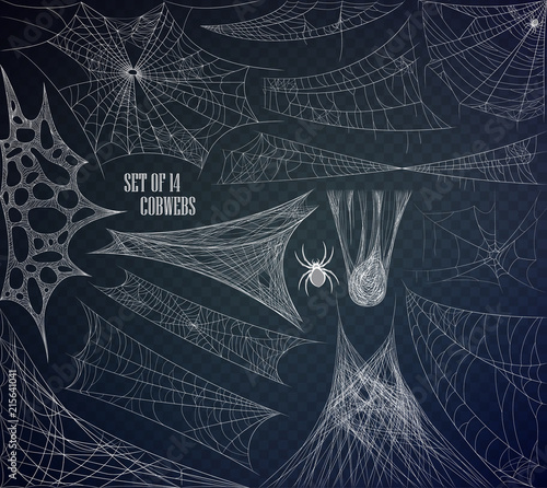 Cobweb set. Cobweb isolated