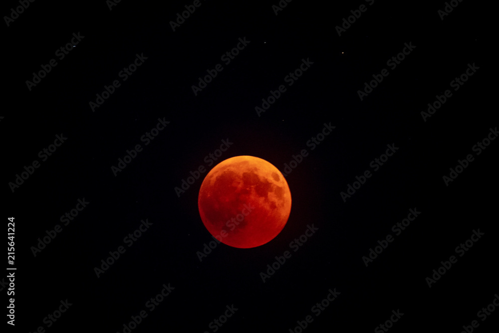 Obraz premium red moon eclipse