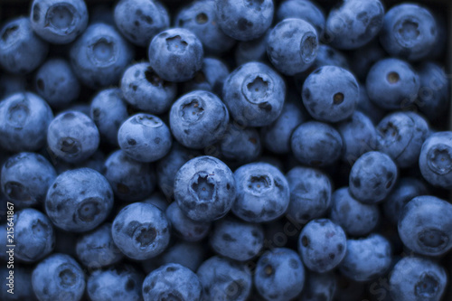 Fresh, fragrant blueberries like a background in dark colors